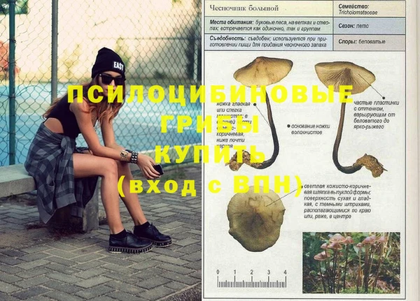 меф Алексин