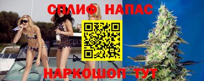 спиды Владикавказ