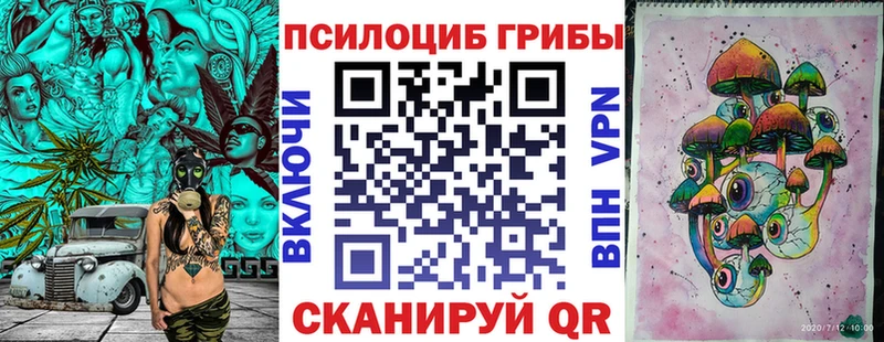 Псилоцибиновые грибы Psilocybine cubensis  Алушта 